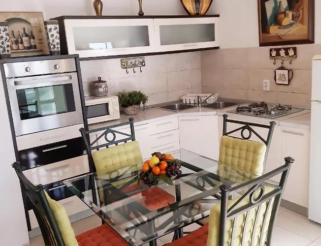 Darijana 오파티아