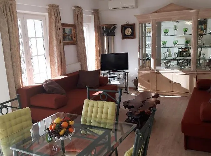 Darijana אופטיה